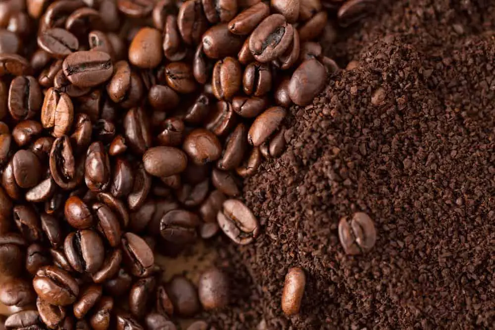 how to store coffee beans ? the right way