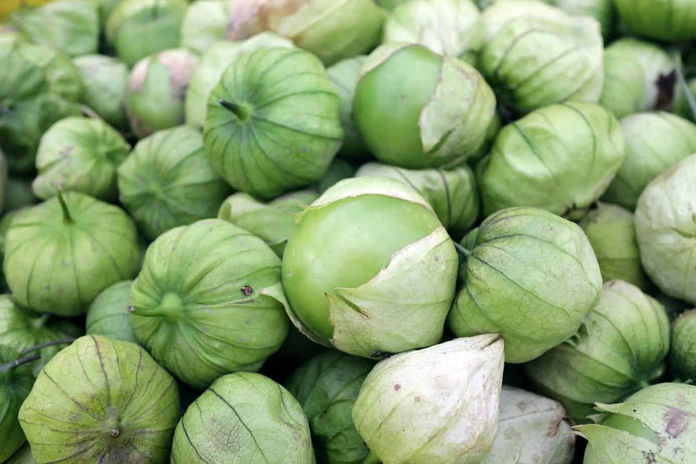 Fresh Organic Tomatillo