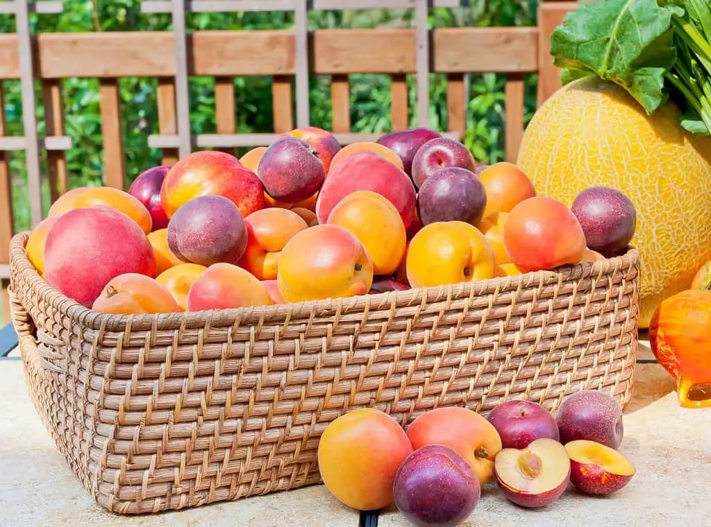 The Definitive Guide To Fruit And Vegetable Storage Make Fresh Produce Last Longer And Save 