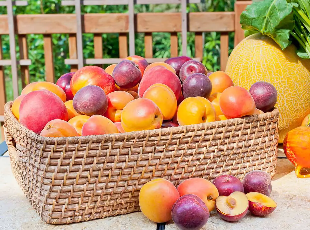How to Store Stone Fruits