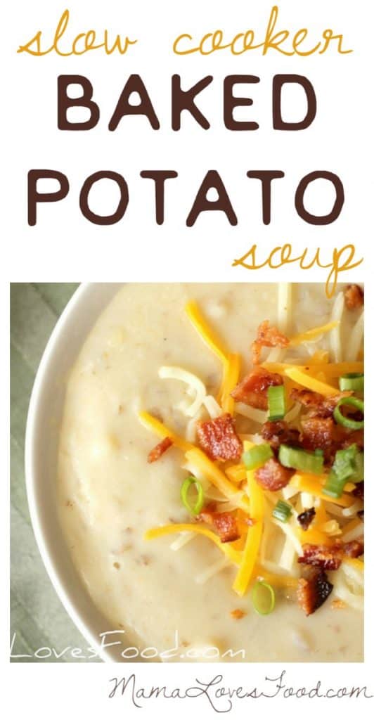 Slow Cooker Baked Potato Soup