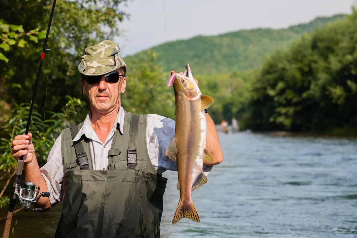 Joyful fisherman keeps caught salmon (pink salmon) was caught in the river. Far East Russia.