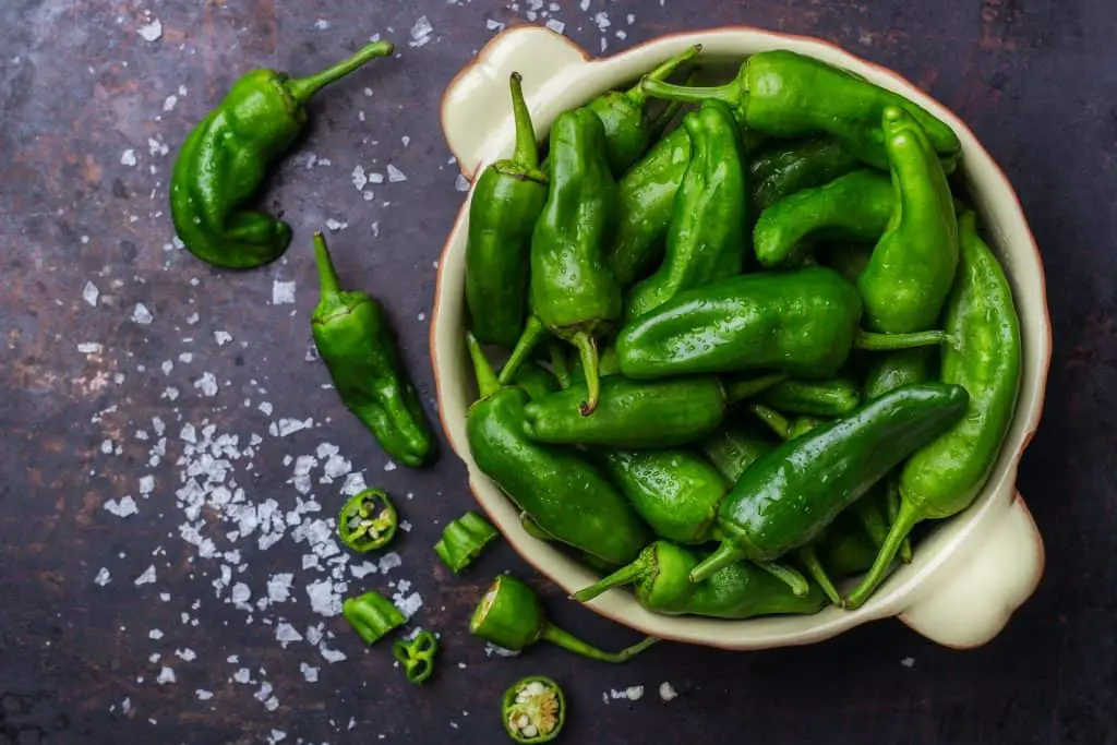 Fried pimientos de Padron