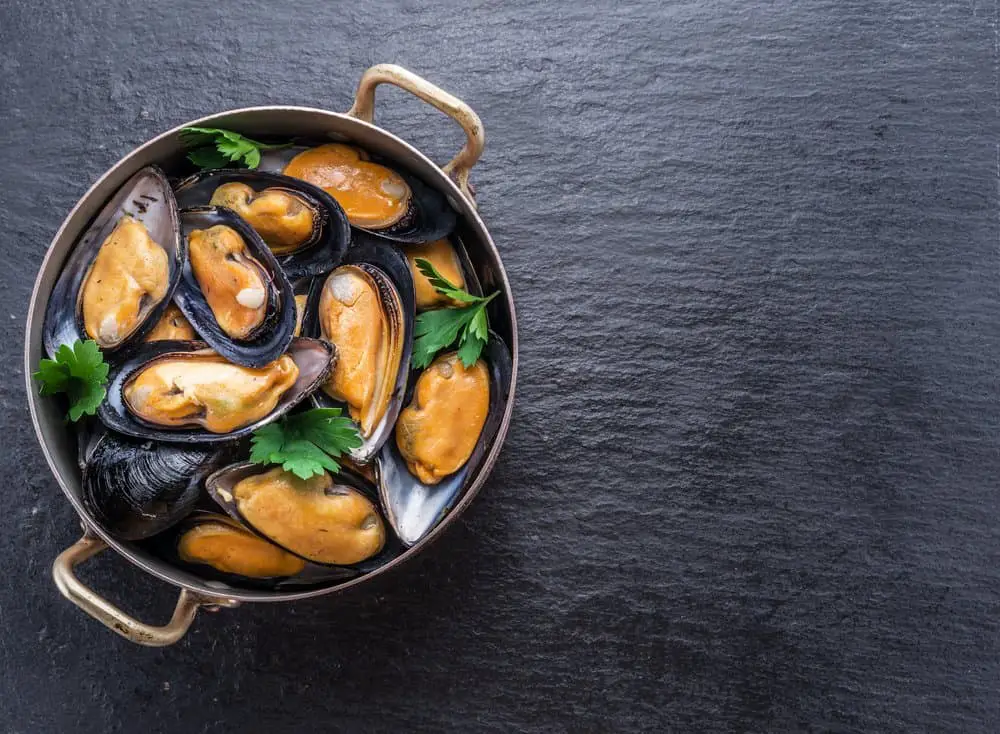 mussels familynano