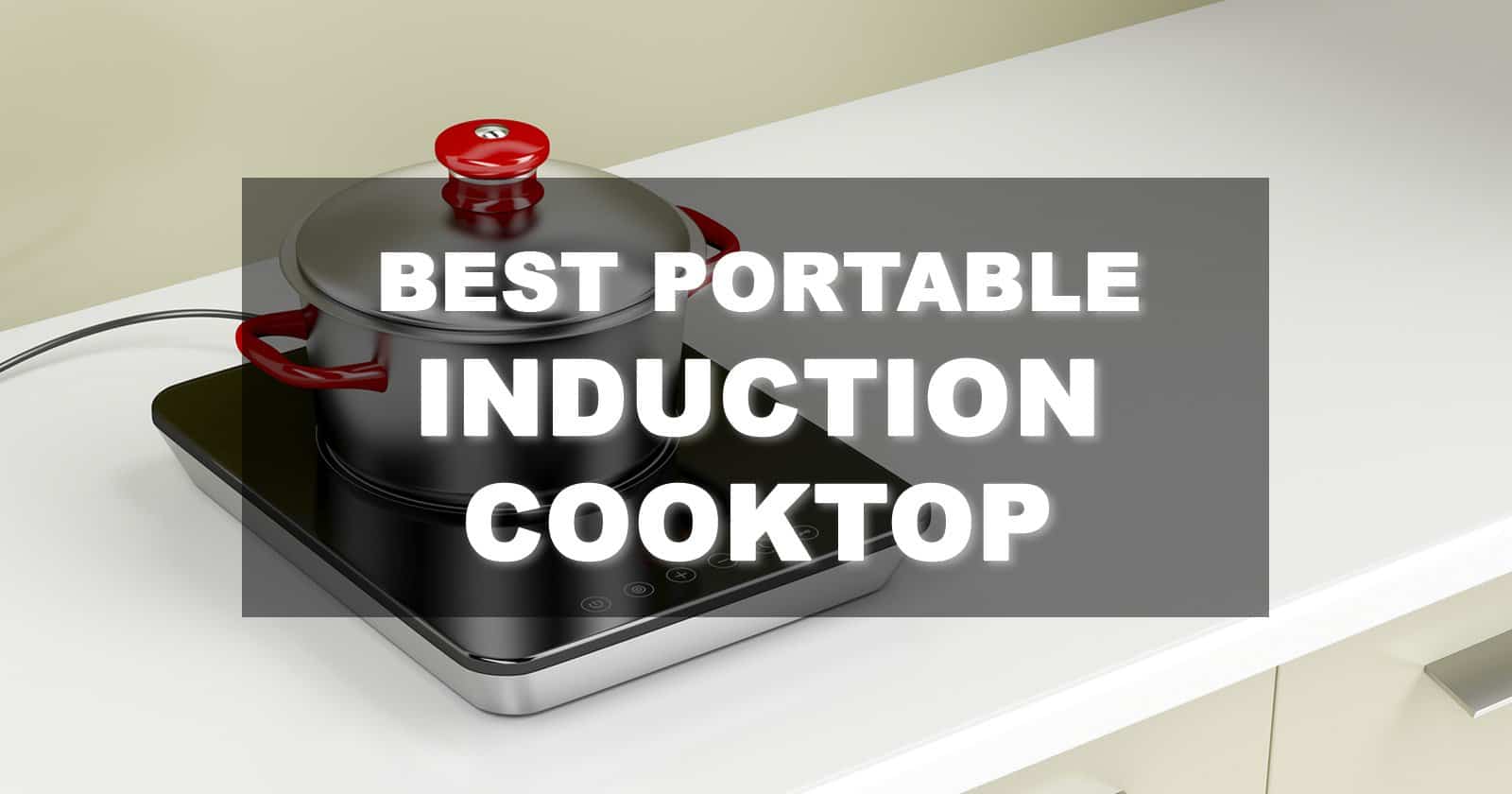 Best Portable Induction Cooktop