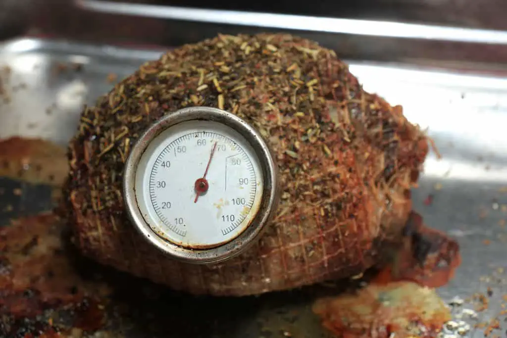 Meat with meat thermometer just out of the oven