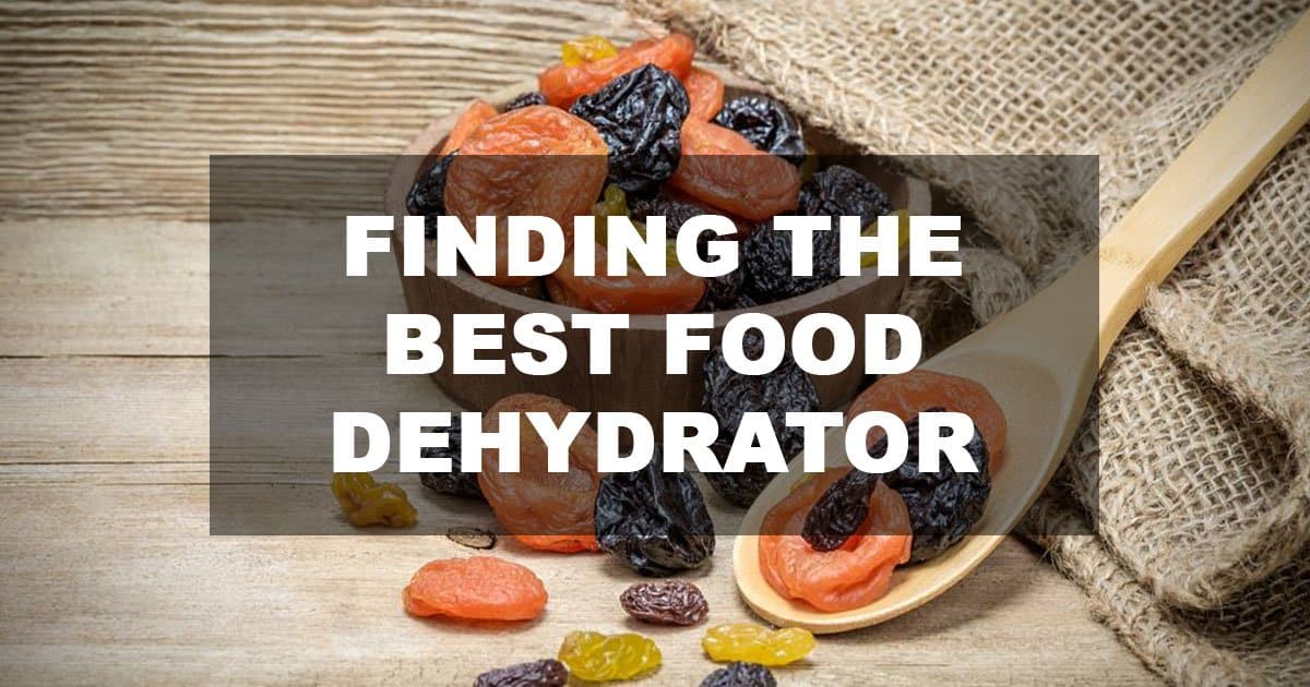 Best Food Dehydrator