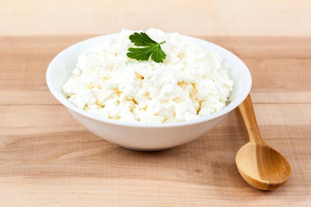 fresh cottage cheese