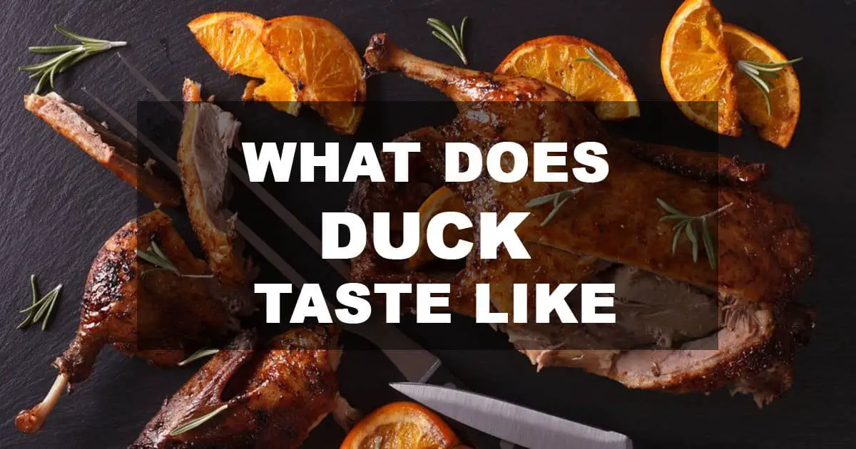 what does duck taste like