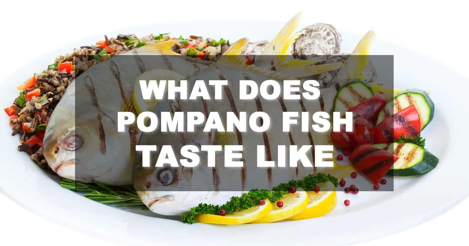 what does pompano fish taste like