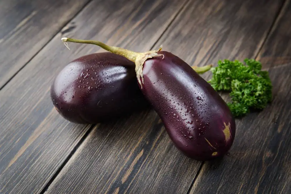 History Of Eggplants