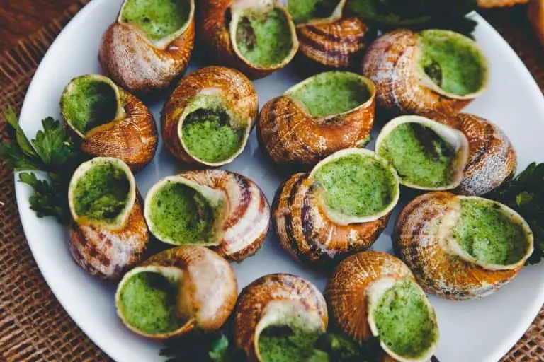 What Does Escargot Taste Like? Don’t Miss Out on Escargots Any More