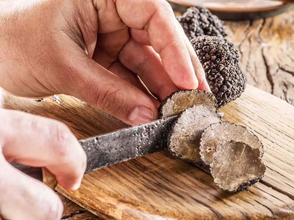 History Of Truffles