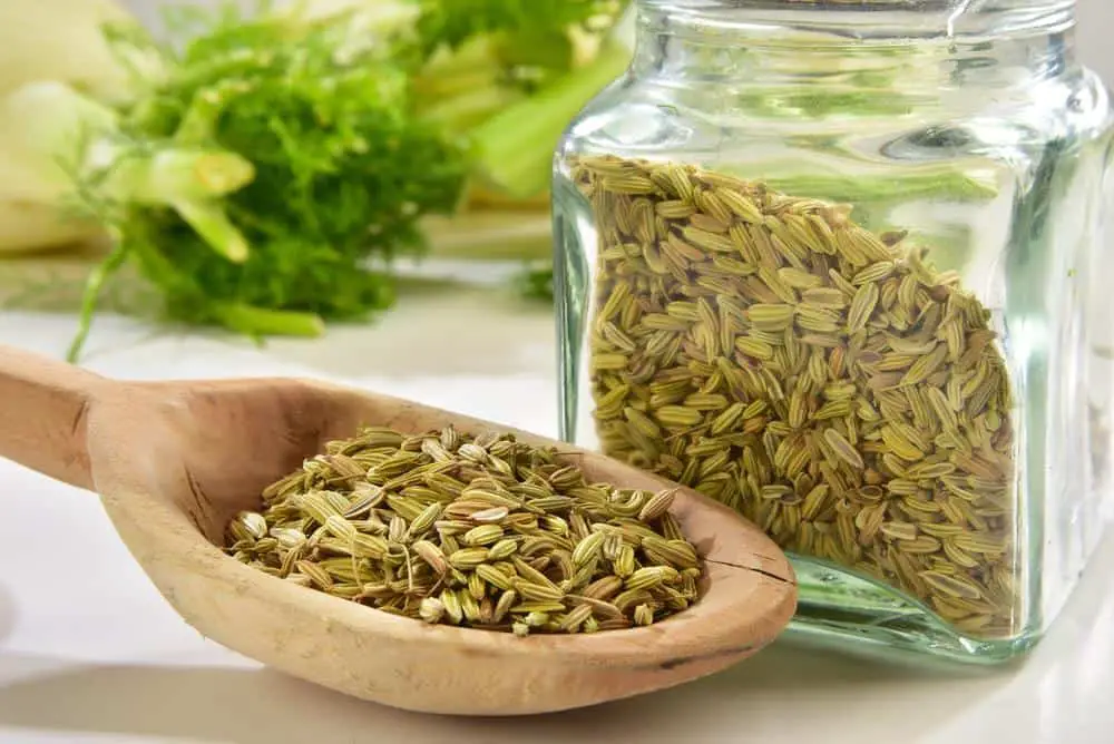 Fennel seed