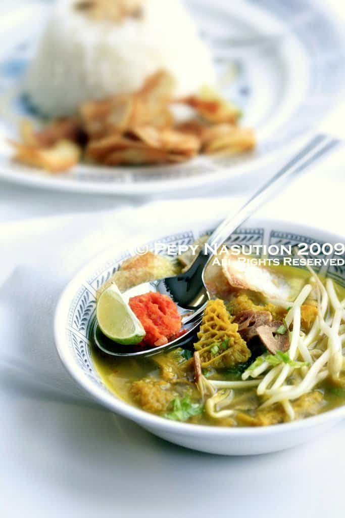 Indonesian Tripe Stew