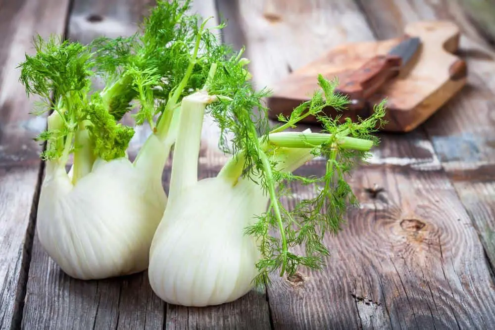 What is Fennel