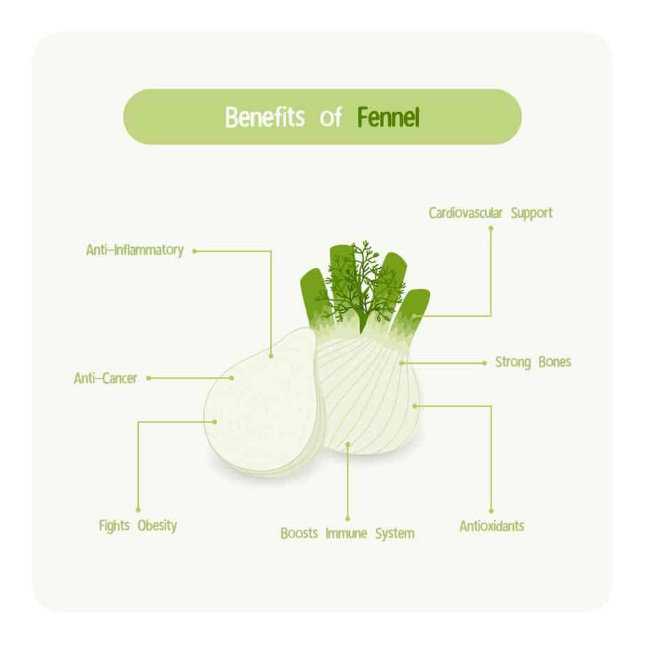 fennel benefits