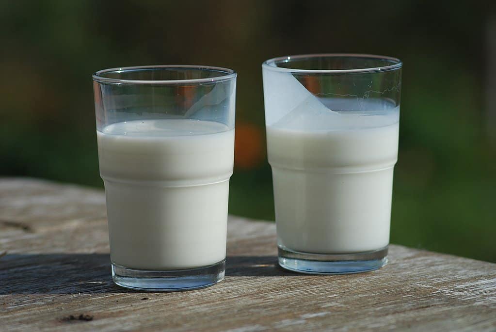 milk and buttermilk