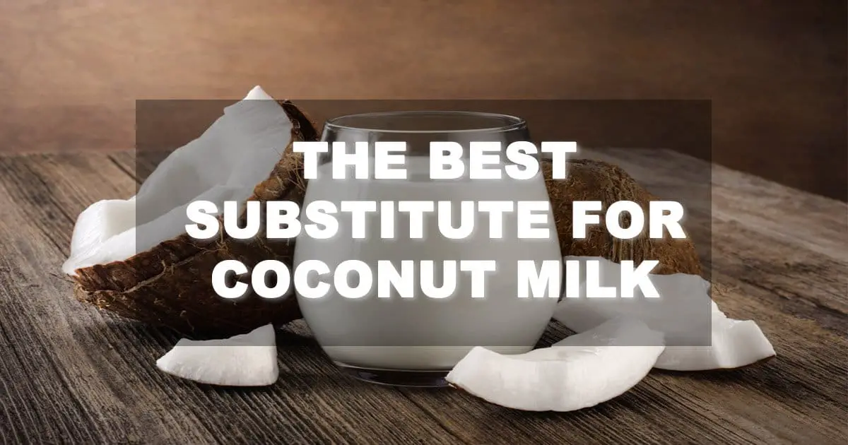 Substitute for Coconut Milk