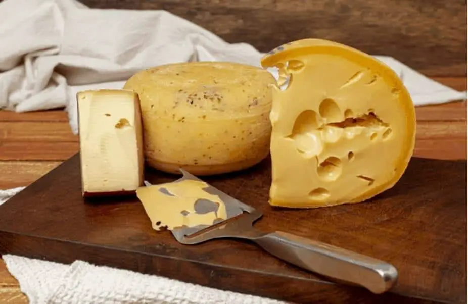 Best Cheese Slicer 2021